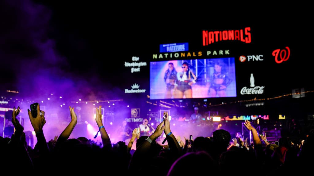 The Neon Pulse Festival